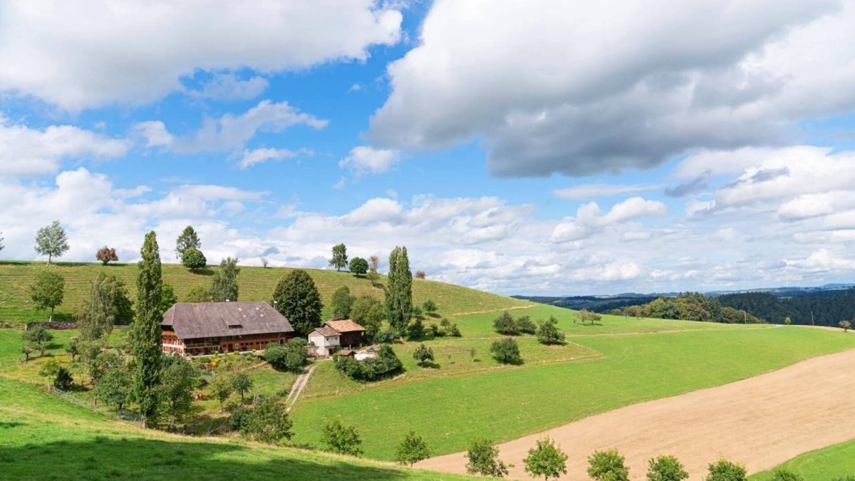 Rohrbachgraben Other | Holiday apartment Rohrbachgraben for 1 - 4 persons with 2 bedrooms - Farmhouse