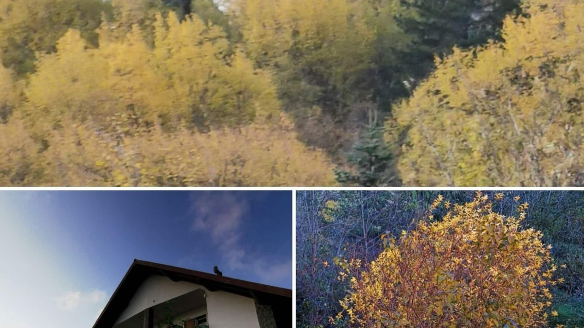 Borzonasca Apartment | Holiday apartment Borzonasca for 1 - 6 persons with 2 bedrooms - Holiday apartment