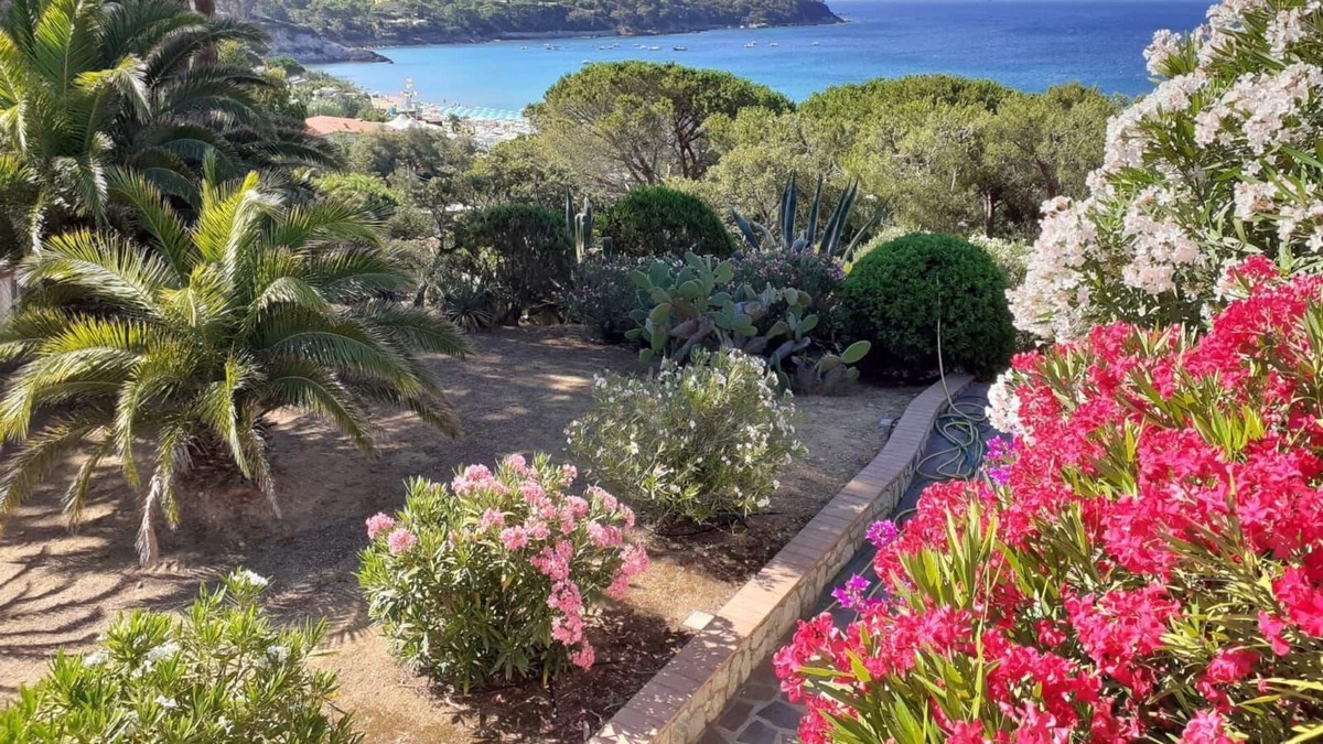 Lido di Capoliveri Apartment | Holiday apartment Capoliveri for 1 - 4 persons with 1 bedroom - Holiday apartment