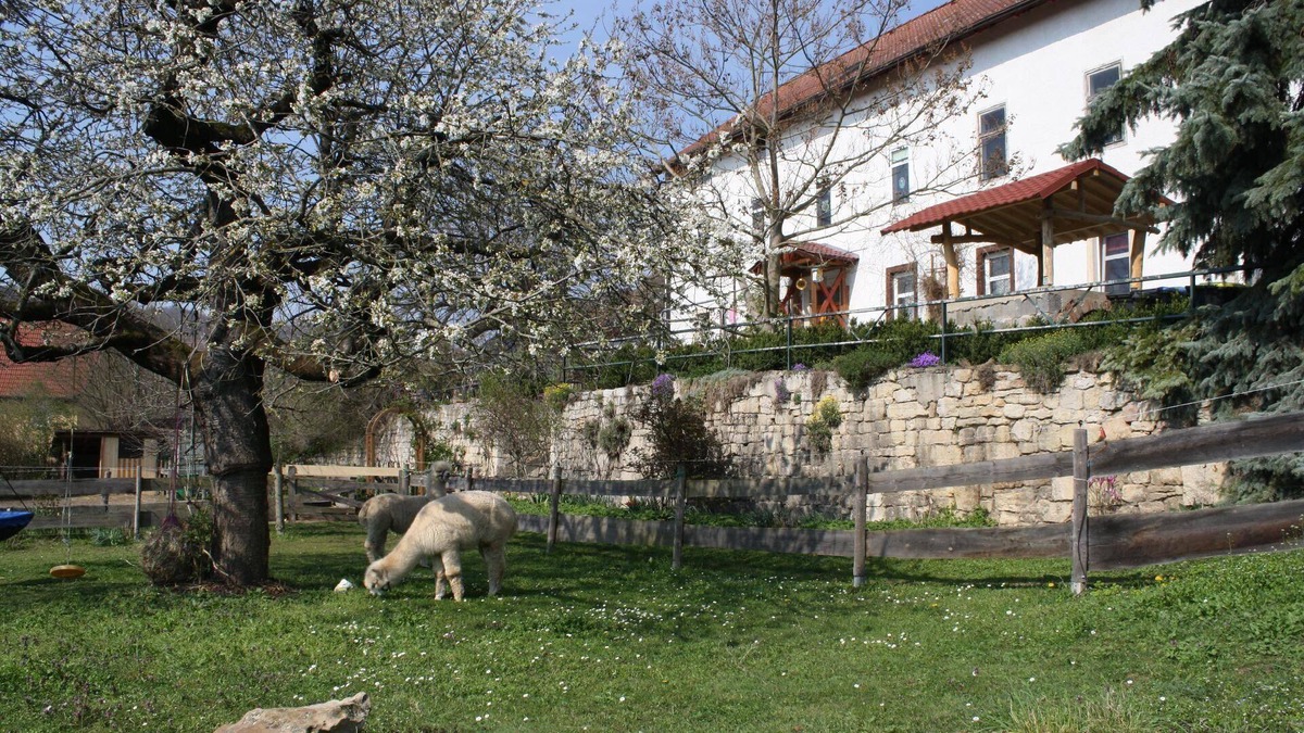 Zothen House | Holiday apartment Camburg for 1 - 4 persons with 1 bedroom - Holiday house