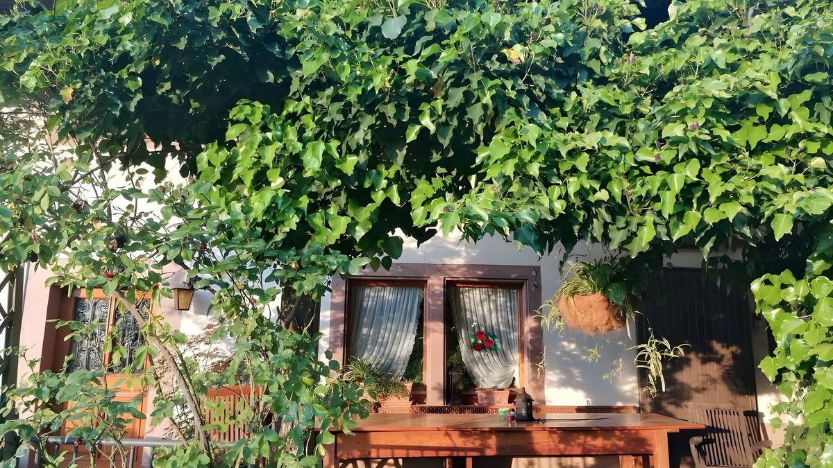 Schuttertal Apartment | Holiday Apartment Cherry Blossom
