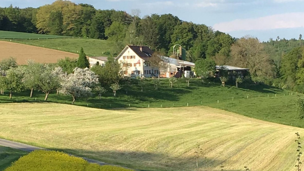 Schneisingen Other | Holiday apartment Schneisingen for 1 - 4 persons with 2 bedrooms - Farmhouse