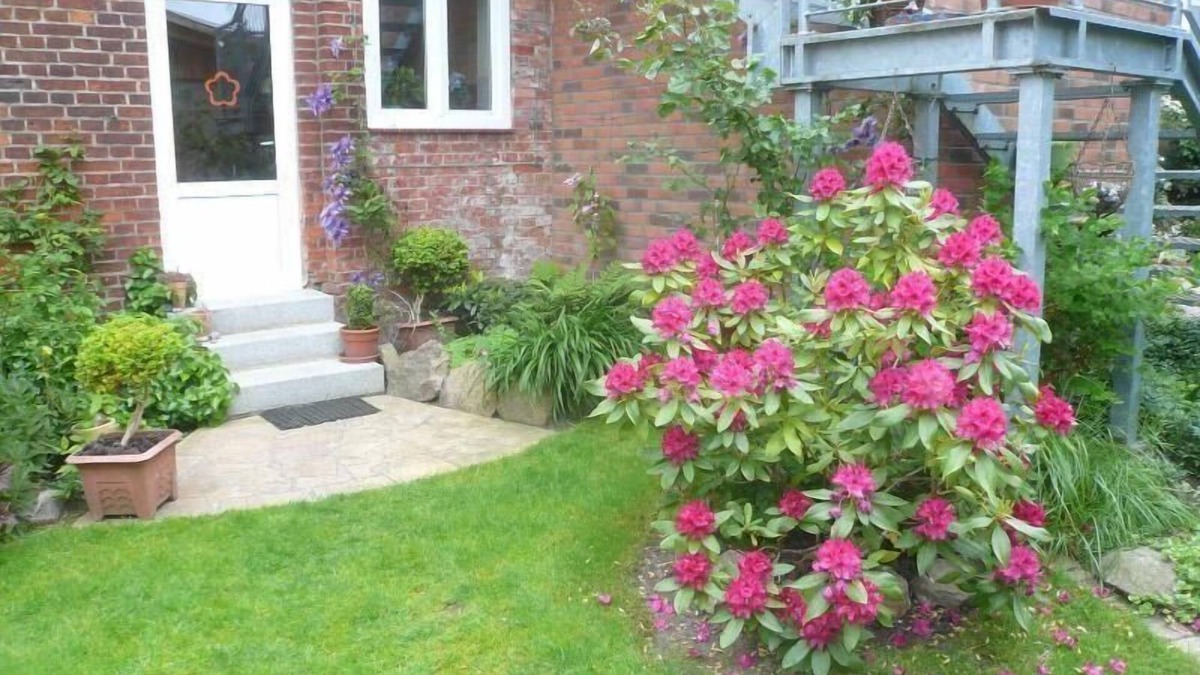 Dassow House | Holiday apartment Dassow for 1 - 2 persons with 1 bedroom - Holiday house