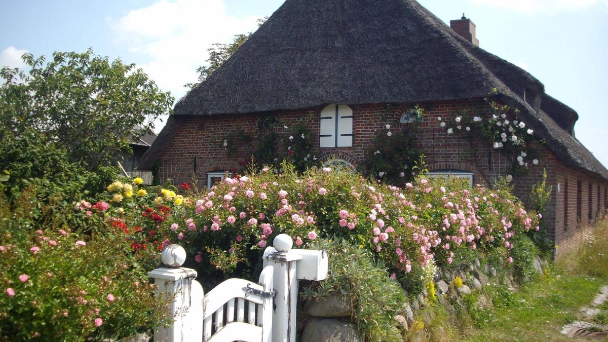 Emmelsbuell-Horsbuell Apartment | Holiday apartment Emmelsbüll-Horsbüll for 1 - 4 persons - Holiday apartment in one or multi-family h