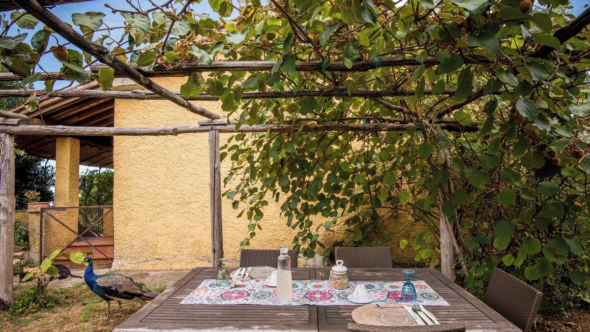 Montieri Apartment | Holiday Apartment 'Glicine' with Mountain View, Shared Pool & Wi-Fi
