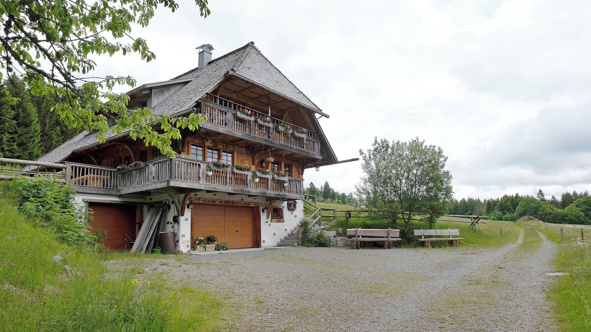 Feldberg Apartment | Holiday Apartment 'Hisli' with Mountain View, Balcony and Wi-Fi