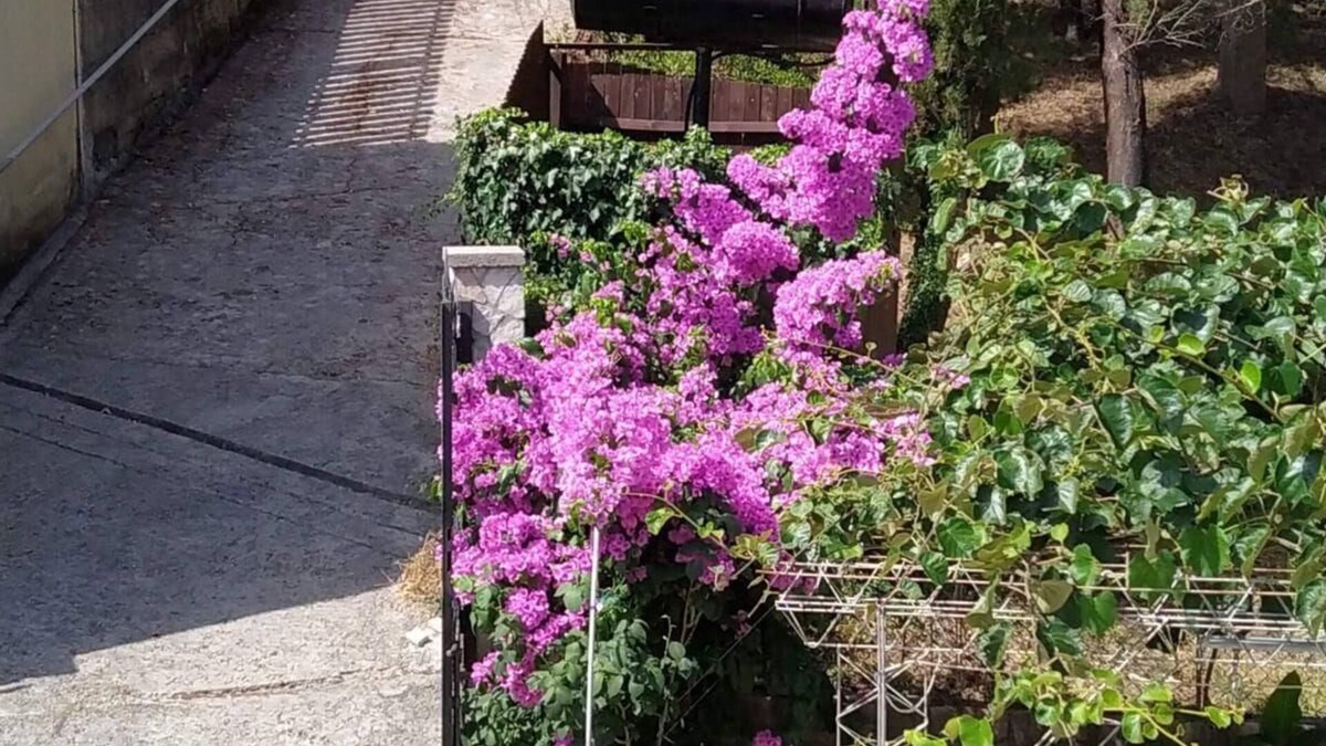 Igalo Apartment | Holiday apartment Igalo for 1 - 4 persons with 1 bedroom - Holiday apartment