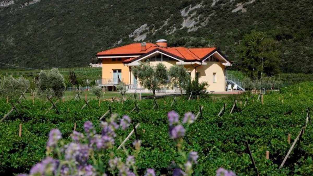 Ceniga Apartment | Holiday apartment in a sunny and quiet location surrounded by vineyards
