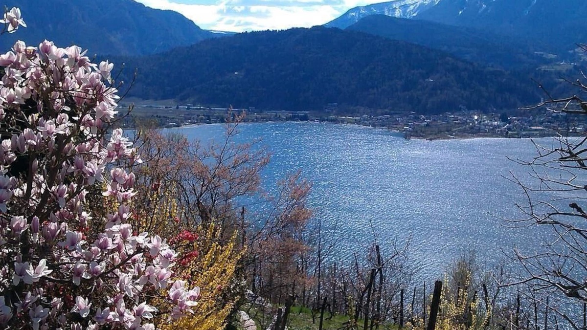 Levico Terme Apartment | Holiday apartment Levico Terme for 1 - 3 persons with 1 bedroom - Holiday apartment