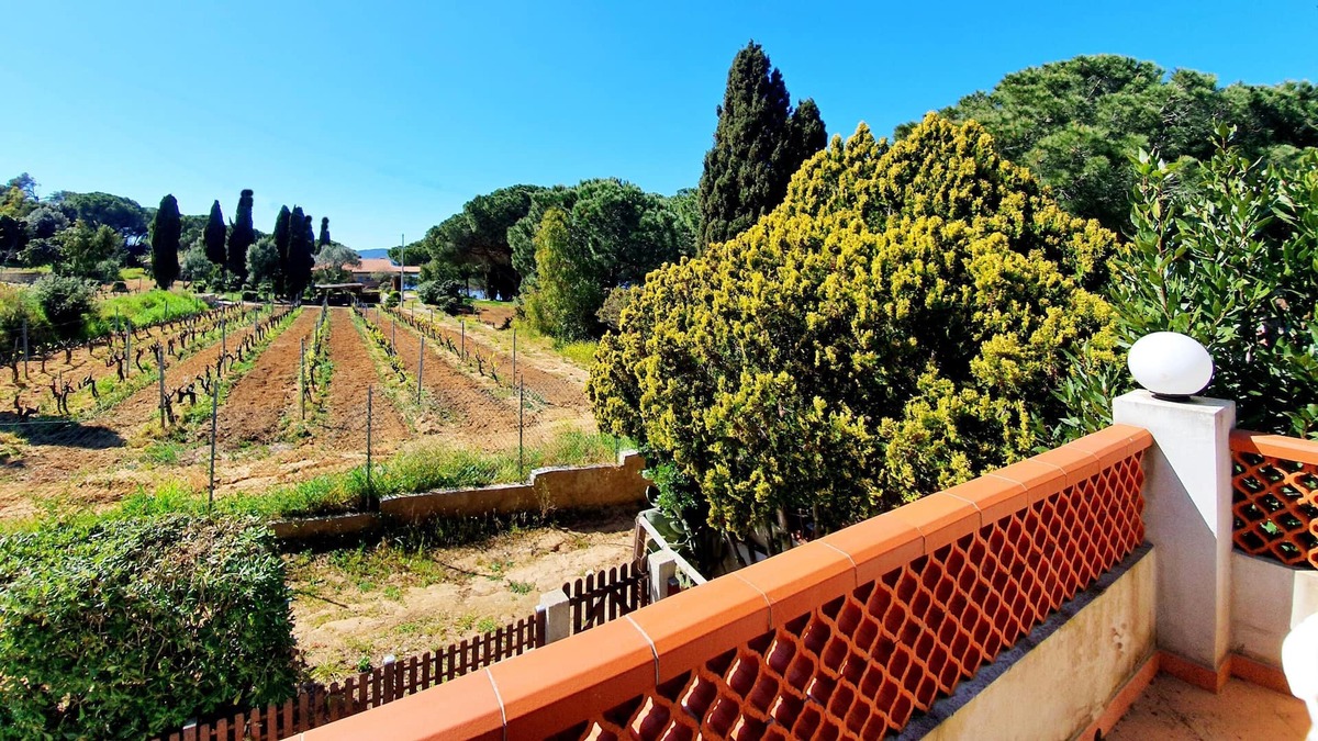 Lido di Capoliveri Apartment | Holiday Apartment "La Scogliera" with Sea View, Air Conditioning & Terrace