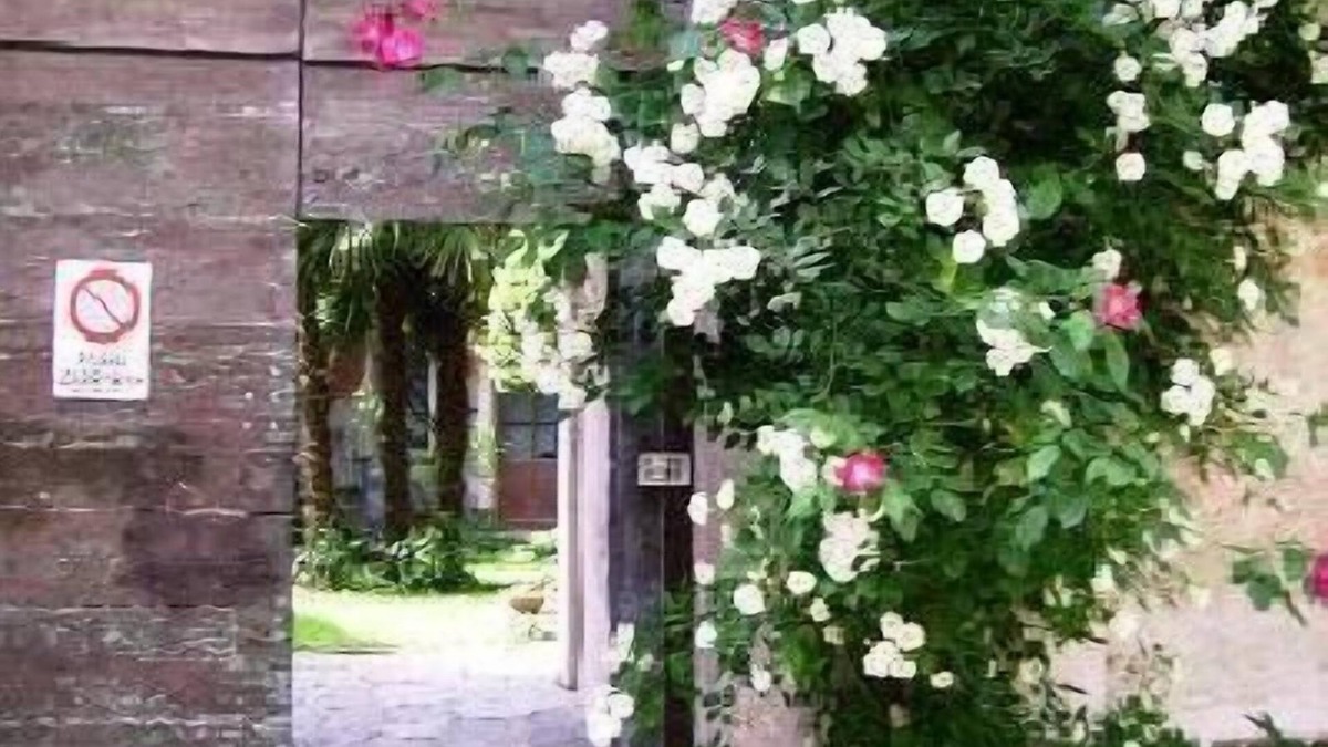 Miasino House | Holiday apartment Miasino for 1 - 5 persons with 1 bedroom - Holiday house