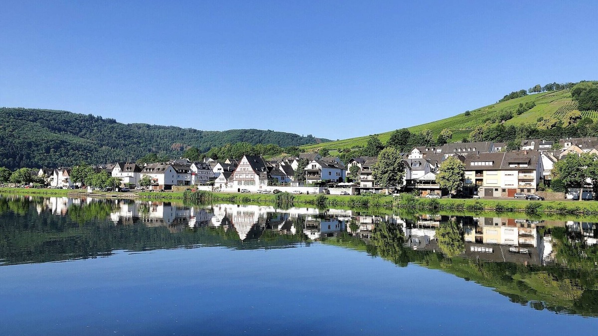 Kaimt Apartment | Holiday apartment Moselle Ship in Zell (Mosel) - Modern, comfortable & friendly