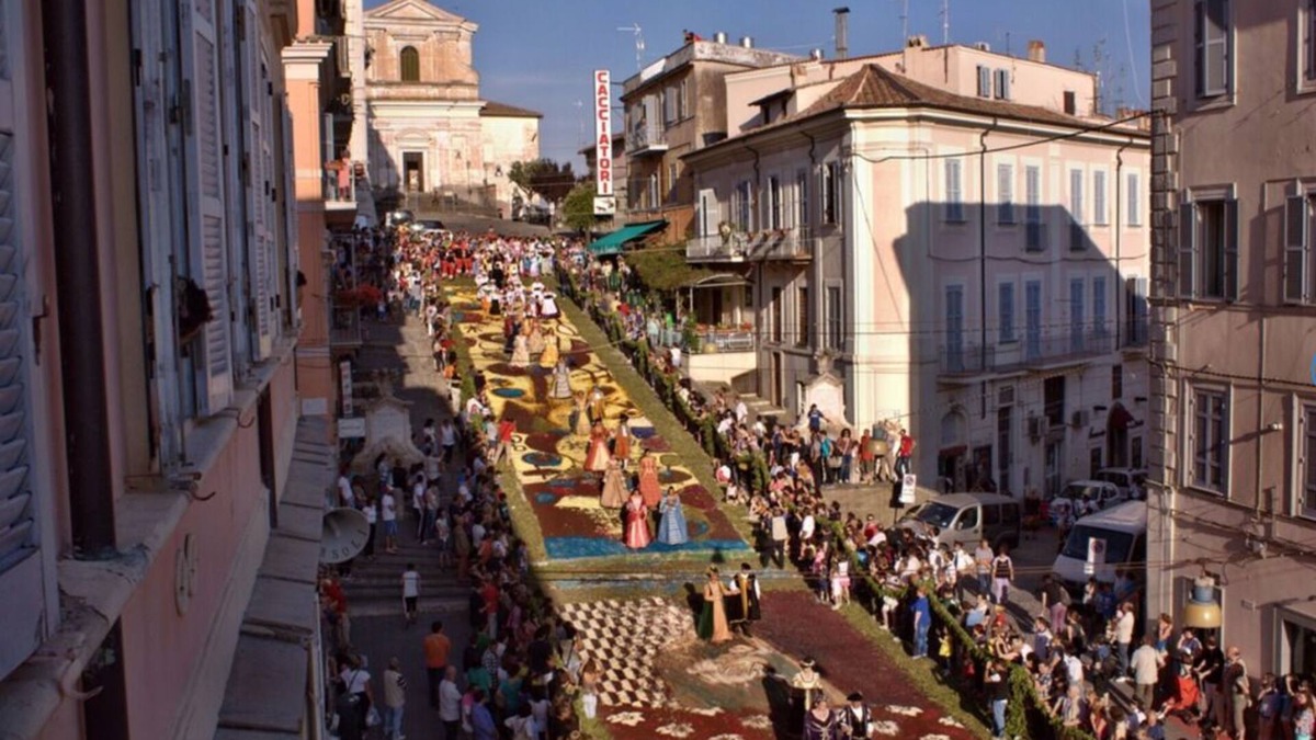 Genzano di Roma Apartment | Holiday apartment near Rome - panorama terrace, Sea view - garden, olive grove