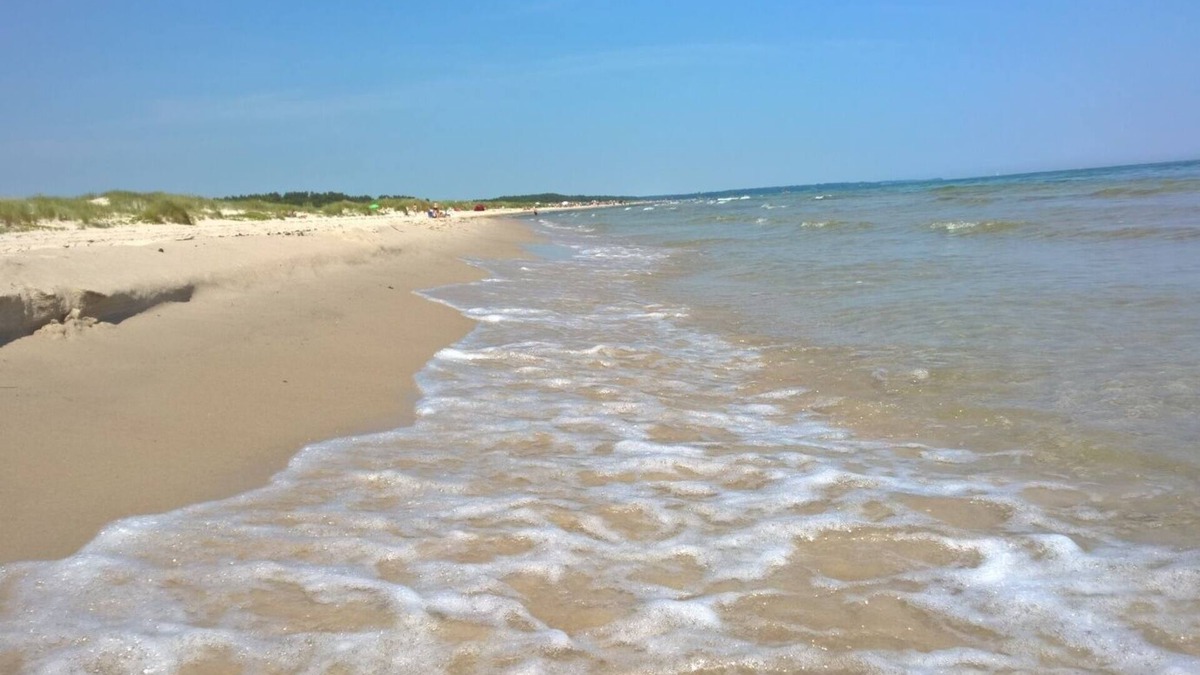 Malarhusens Apartment | Holiday apartment near the sand dunes of the Baltic Sea in Österlen