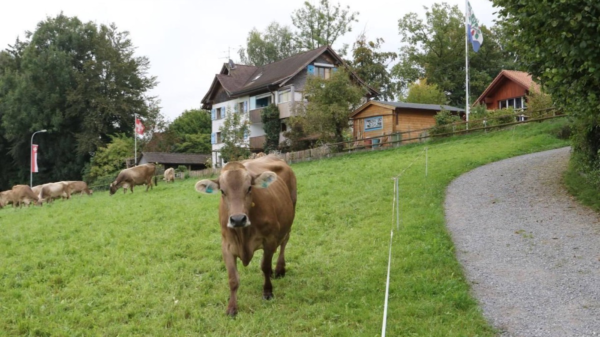 Egnach Apartment | Holiday apartment Neukirch for 1 - 3 persons with 1 bedroom - Holiday apartment