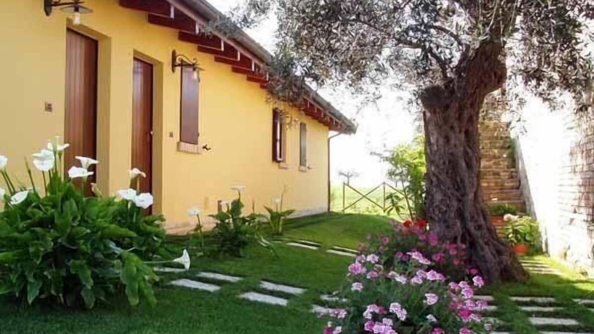 Notaresco Other | Holiday apartment Notaresco for 1 - 3 persons with 1 bedroom - Farmhouse