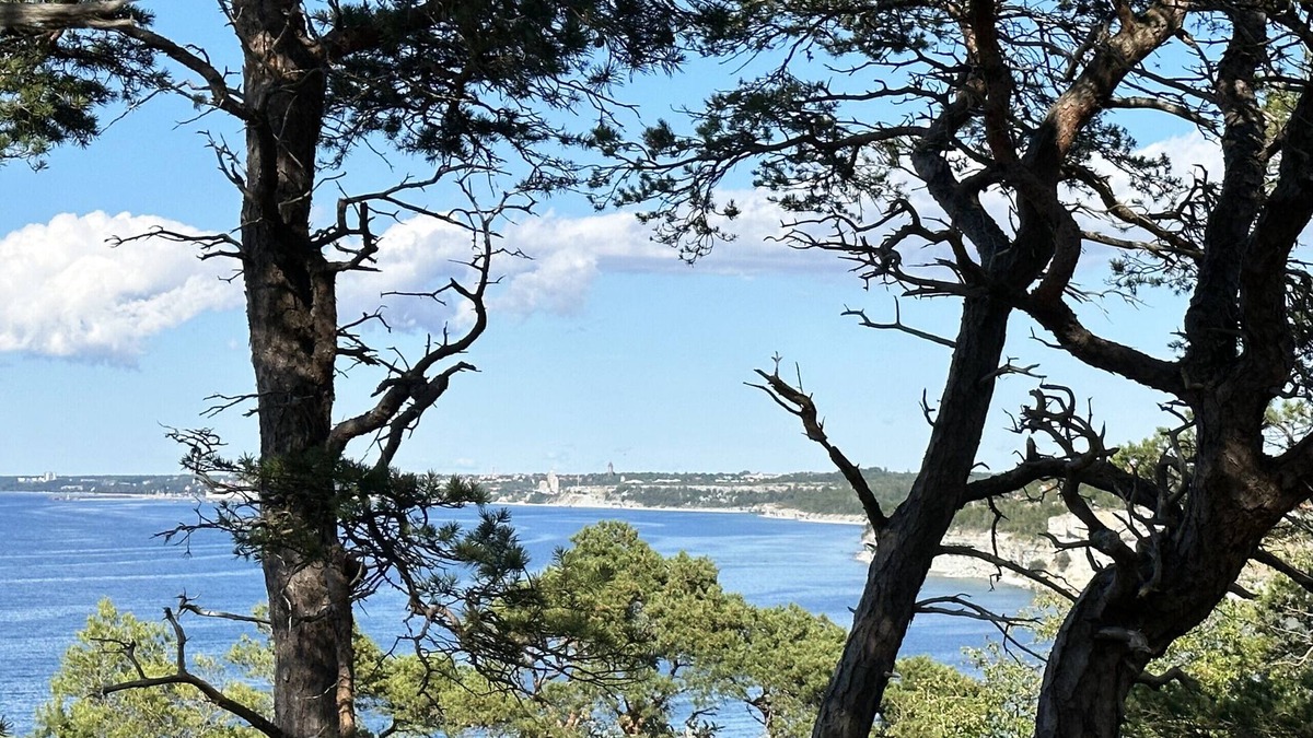 Vibble Apartment | Holiday apartment on western Gotland | SE12021