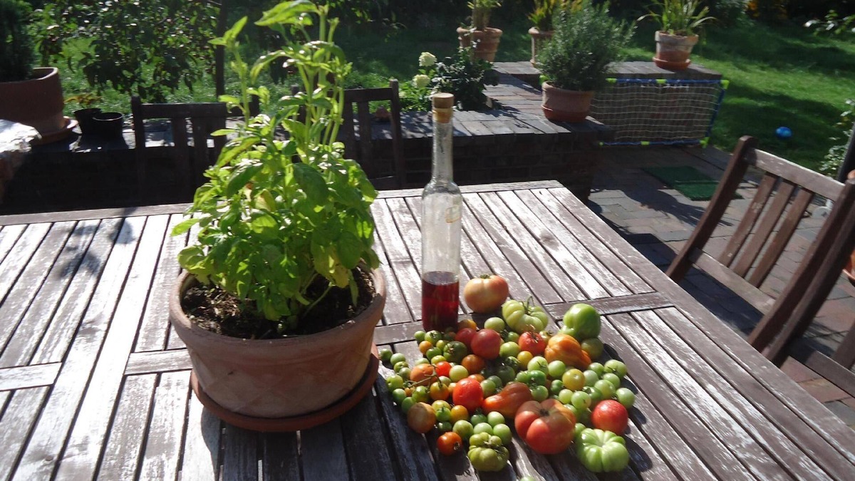 Sulmin Apartment | Holiday apartment Przyjazn for 1 - 4 persons with 1 bedroom - Holiday apartment in one or multi-fami