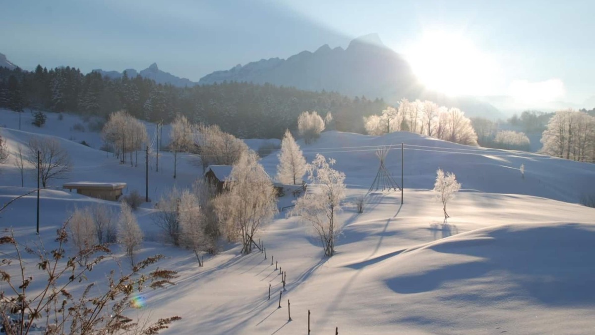 Seelisberg Apartment | Holiday apartment Seelisberg for 1 - 12 persons with 8 bedrooms - Historical building