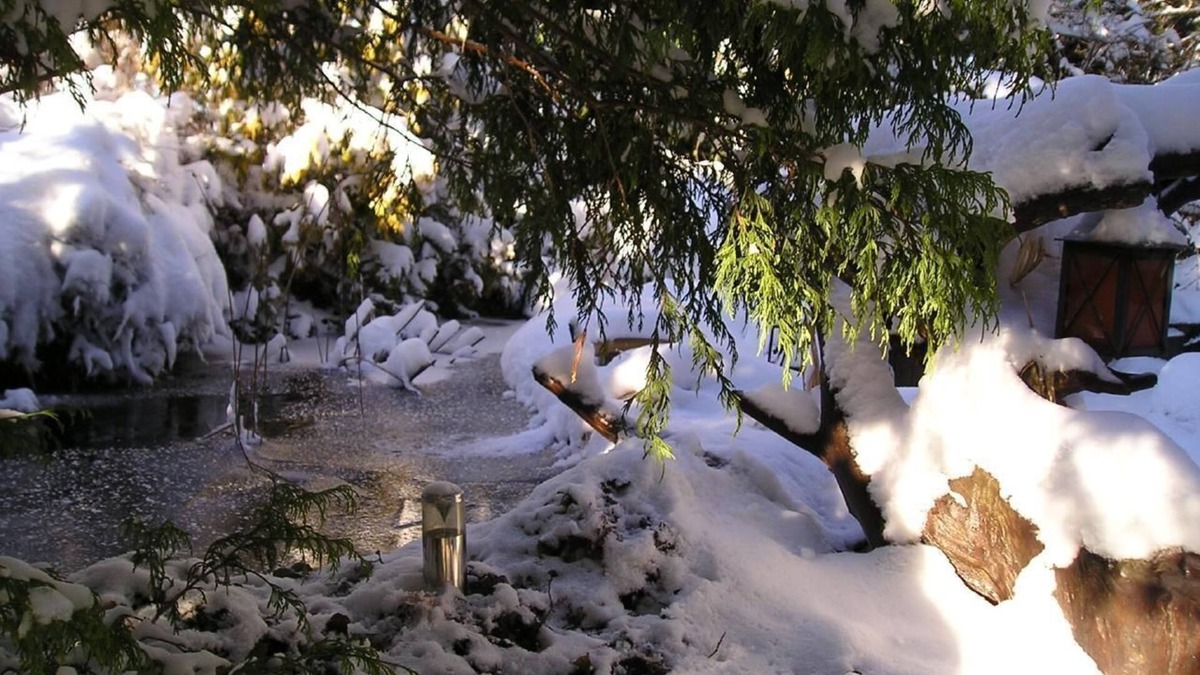 Siglistorf Apartment | Holiday apartment Siglistorf for 1 - 5 persons with 2 bedrooms - Holiday apartment