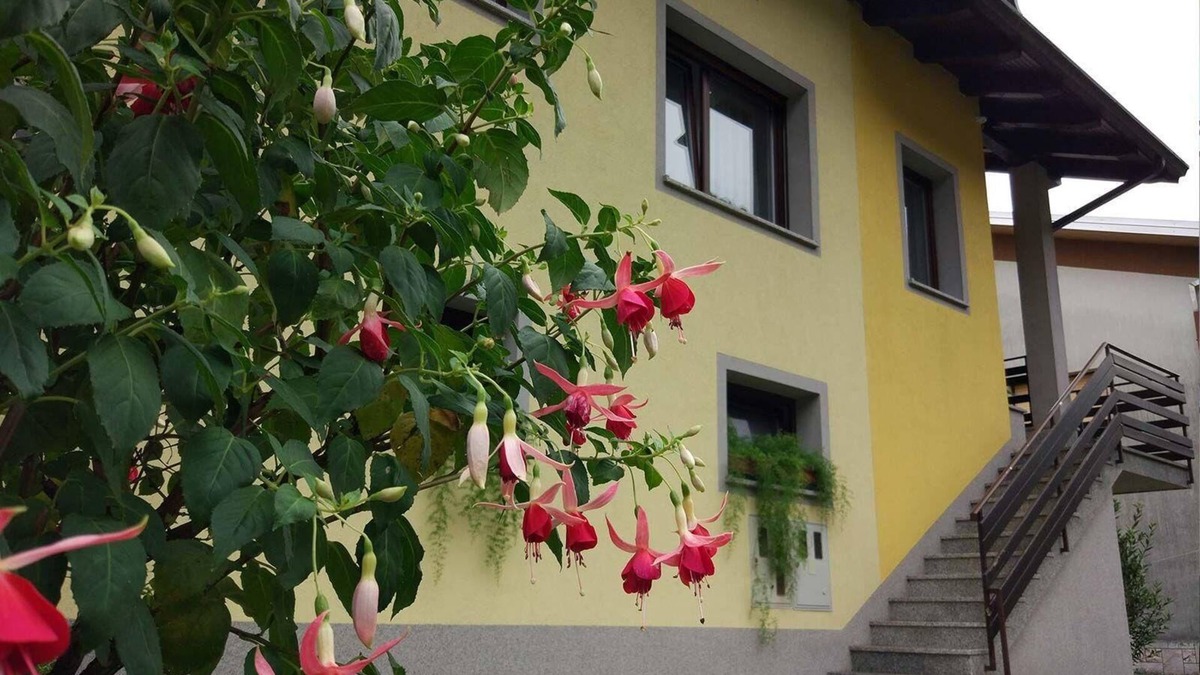 Tolmin Apartment | Holiday apartment Donja Trebusa for 1 - 7 persons with 4 bedrooms - Row house