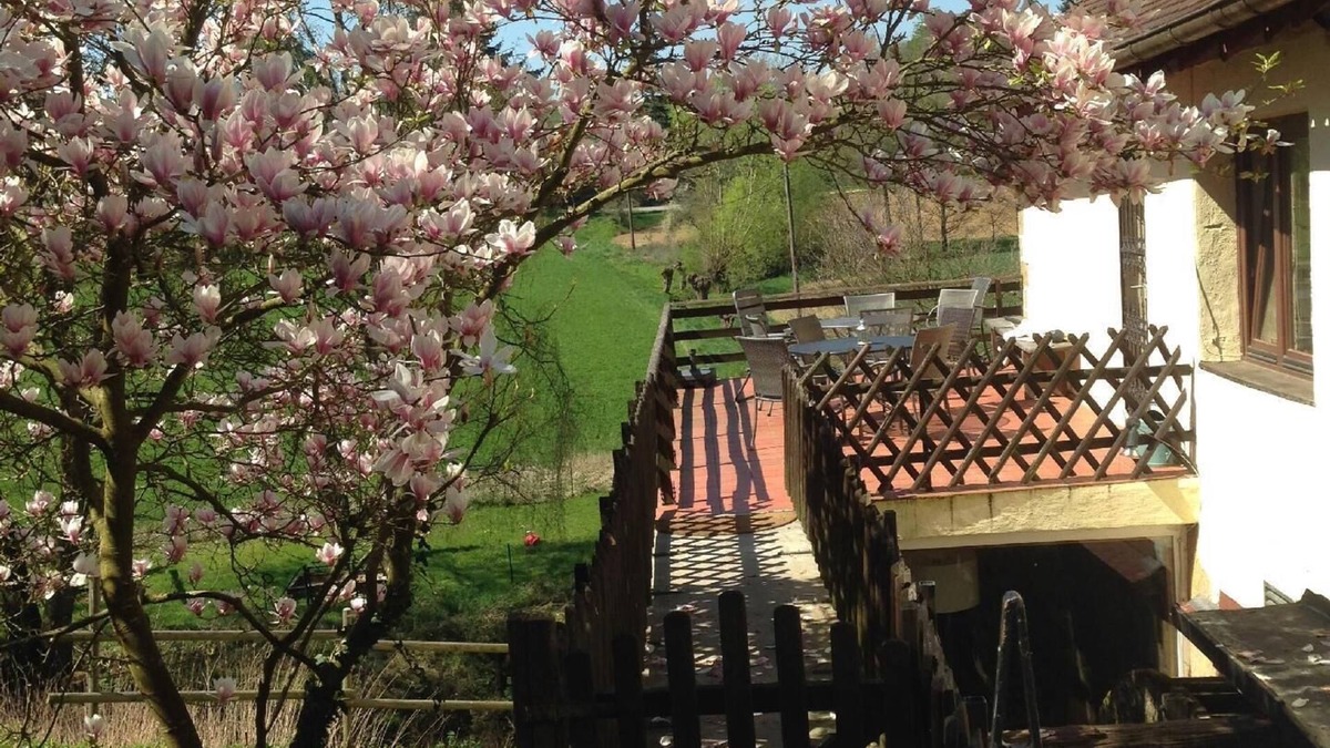 Sinsheim Apartment | Holiday apartment Sinsheim for 1 - 5 persons with 2 bedrooms - Holiday apartment