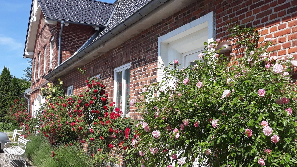 Stoltebuell Apartment | Holiday apartment Stoltebüll for 1 - 2 persons with 1 bedroom - Twin house