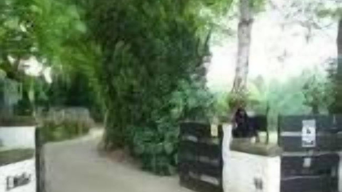 Stelle Apartment | Holiday apartment Stelle for 1 - 2 persons - Holiday apartment