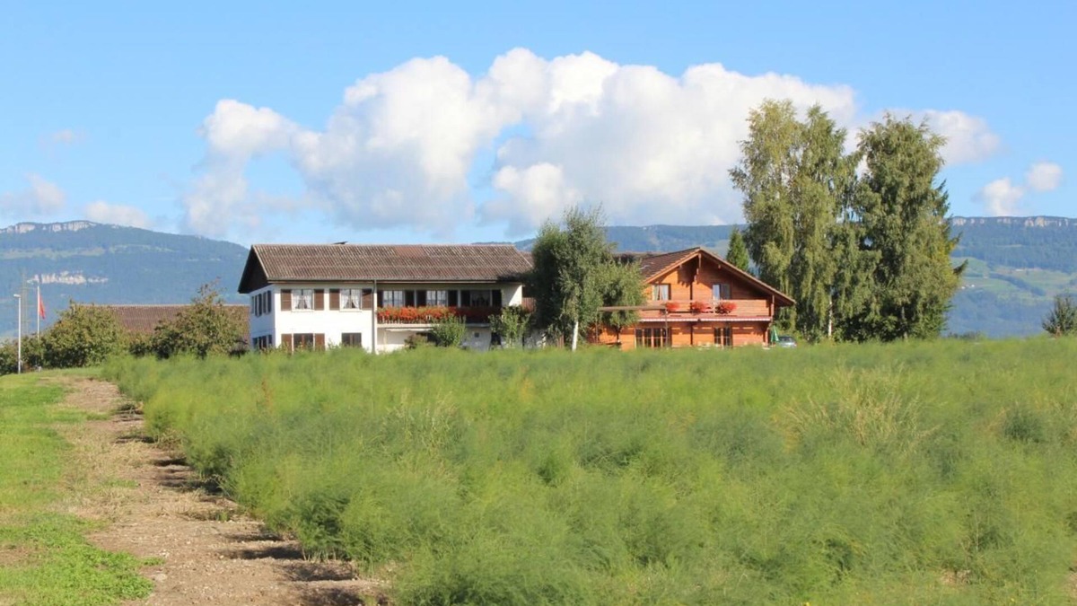 Subingen Other | Holiday apartment Subingen for 1 - 4 persons with 2 bedrooms - Farmhouse