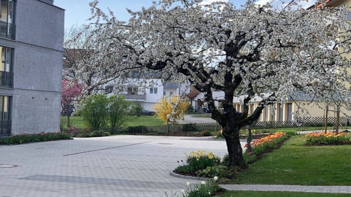 Stetten House | Holiday apartment triLogie-Mulbeere
