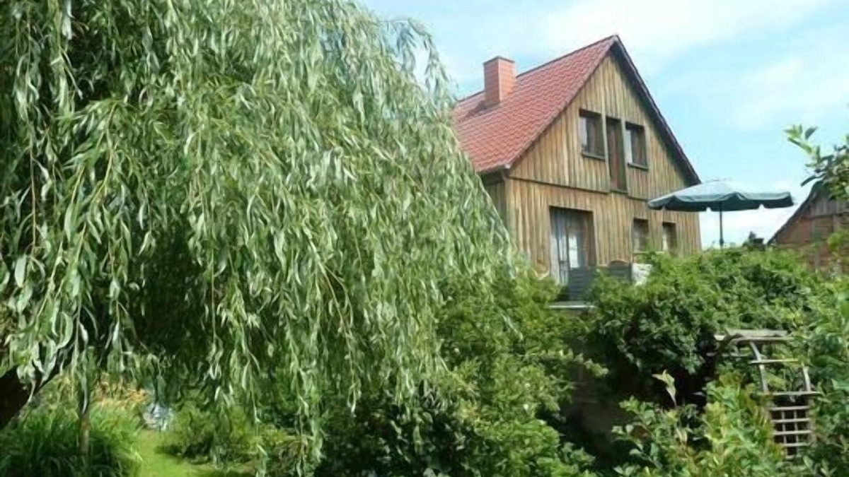 Trusetal Apartment | Holiday apartment Trusetal for 1 - 4 persons with 1 bedroom - Holiday apartment