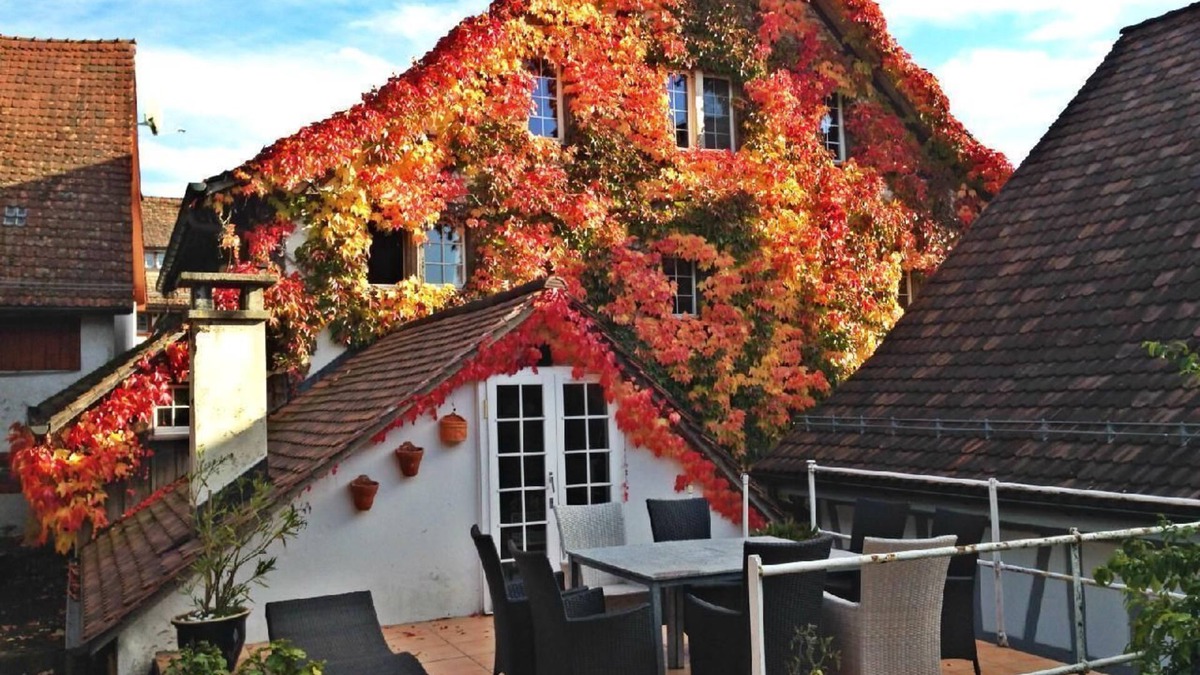 Andelfingen District Apartment | Holiday apartment Uhwiesen for 1 - 8 persons with 3 bedrooms - Holiday apartment