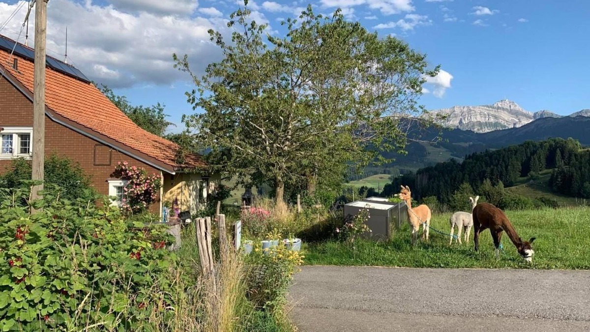 Rute Other | Holiday apartment Urnäsch for 1 - 6 persons with 2 bedrooms - Farmhouse