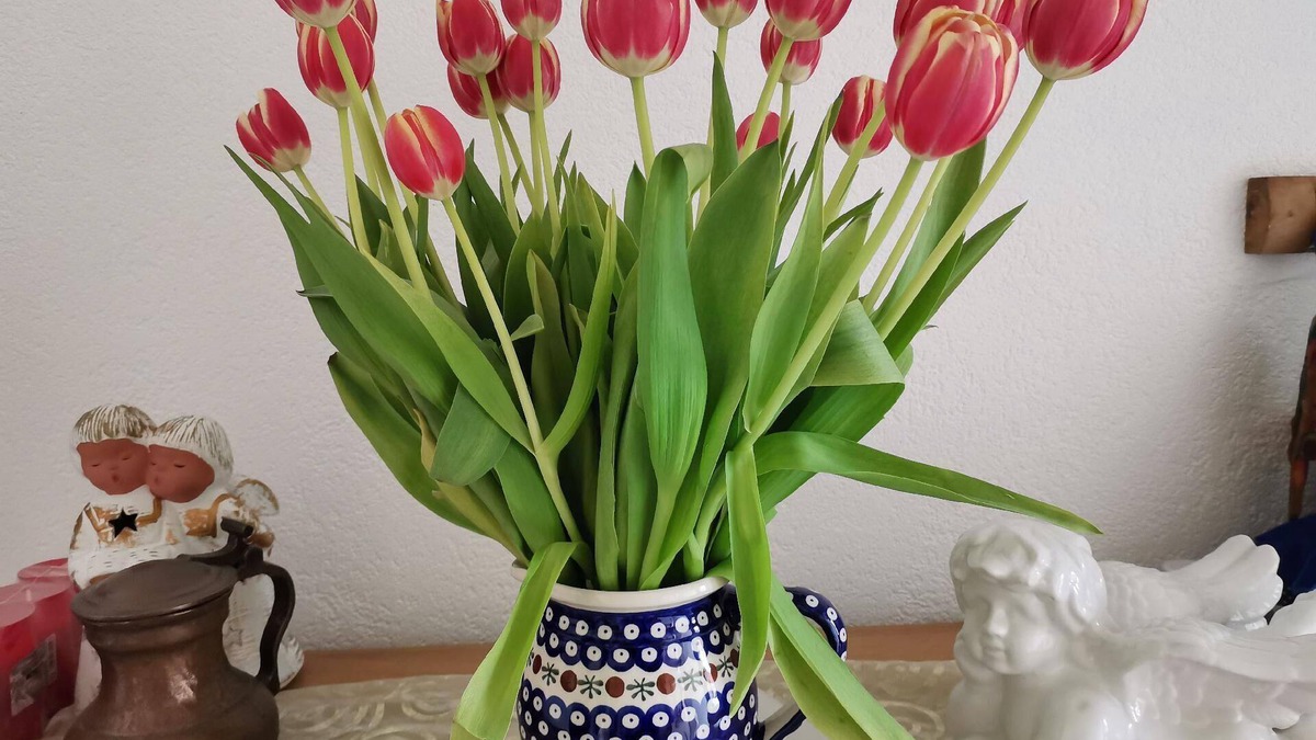 Warburg Apartment | Holiday apartment Warburg for 1 - 4 persons with 1 bedroom - Holiday apartment