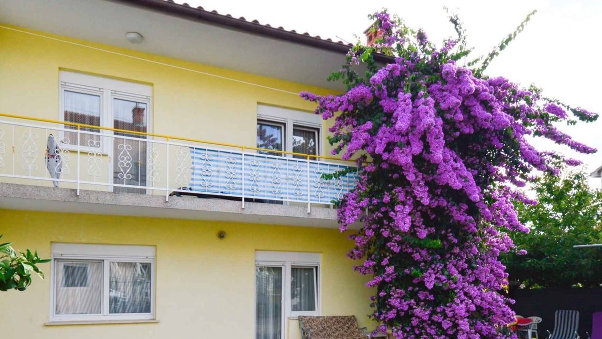 Skatari Apartment | Holiday apartment with terrace and air conditioning