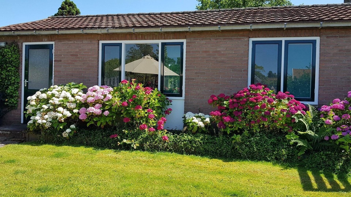 Burgh-Haamstede House | Holiday bungalow Dreef 21 detached with spacious garden near the sea
