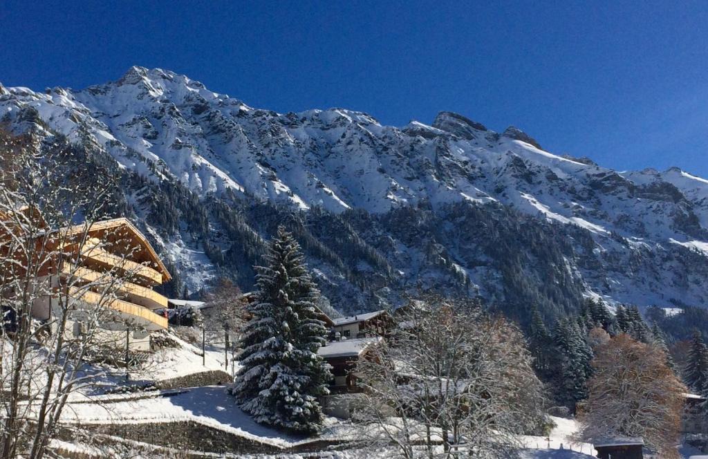 Wengen Apartment | Holiday flat #1, Chalet Aberot, Wengen, Switzerland