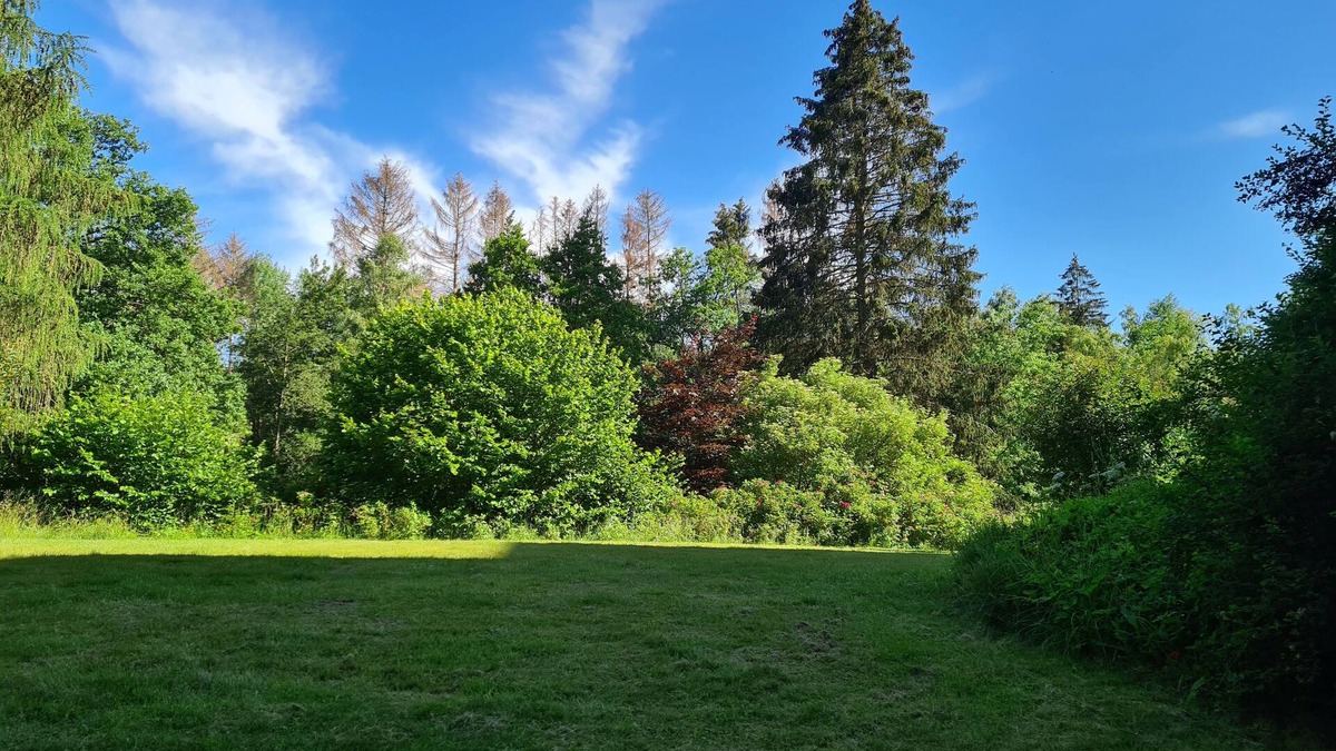 Gudenhagen Apartment | HOLIDAY FLAT AT THE TROUT PARK IN THE SAUERLAND IN BRILON