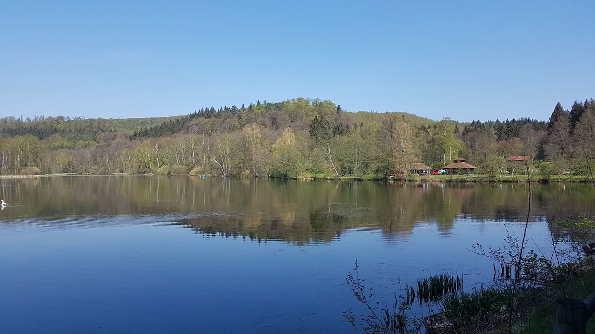 Schontal Apartment | Holiday flat in the middle of the Idyll of the Palatinate Forest in Ludwigswinkel-Schöntal