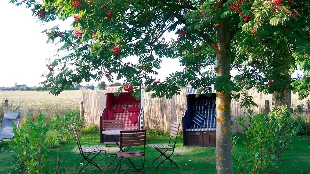 Neue Tiefe House | Holiday home for 7 guests with 98m² in Fehmarn OT Neue Tiefe (17343)