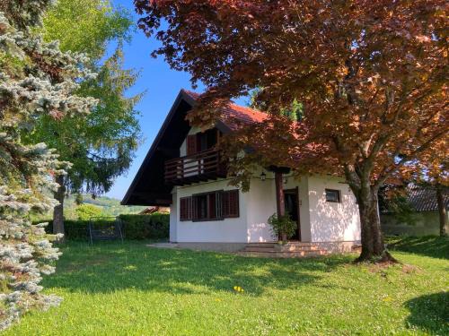 Sveti Martin pod Okicem House | Holiday house Okić