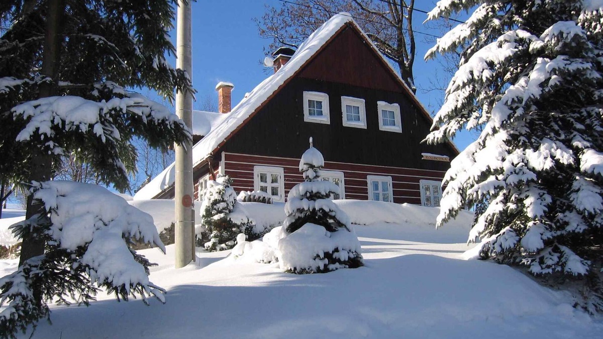 Vichova nad Jizerou House | Holiday home with fireplace and terrace