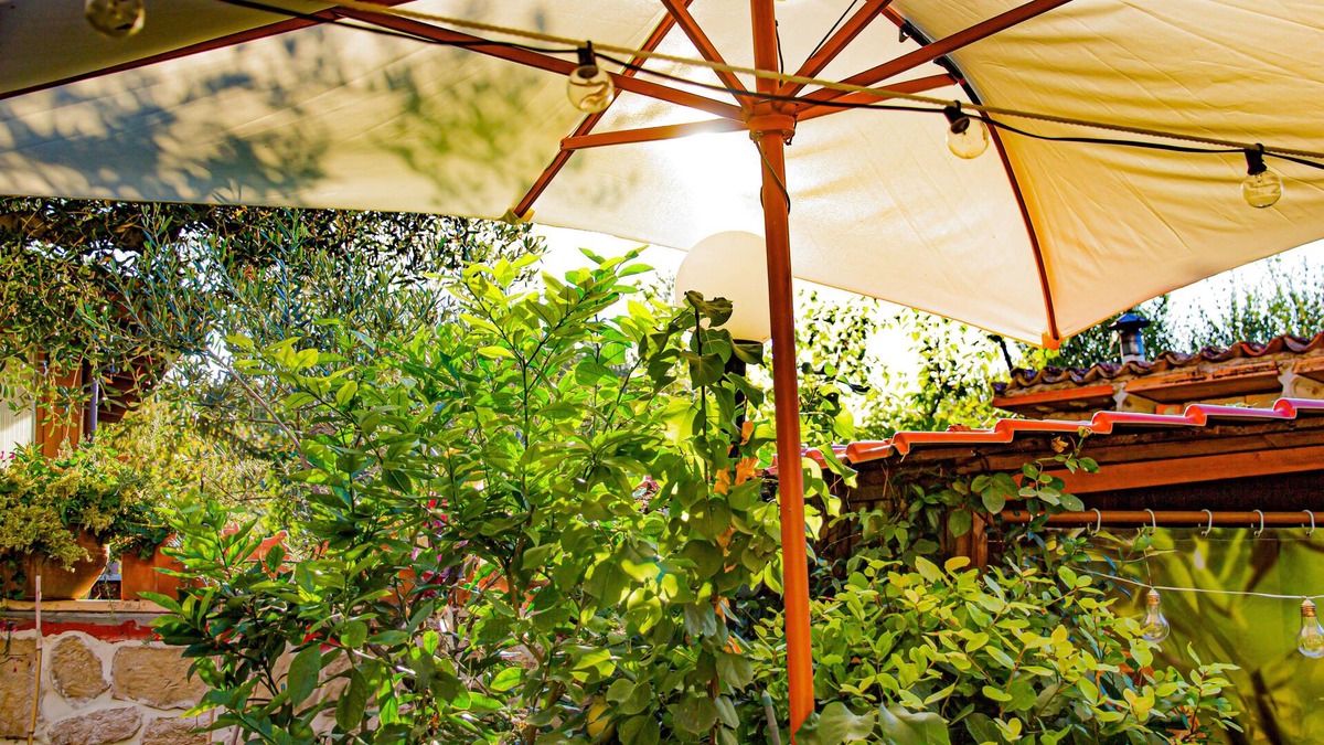Cartoceto Bed & Breakfast | holiday home 10 km from Fano Liza Studio
