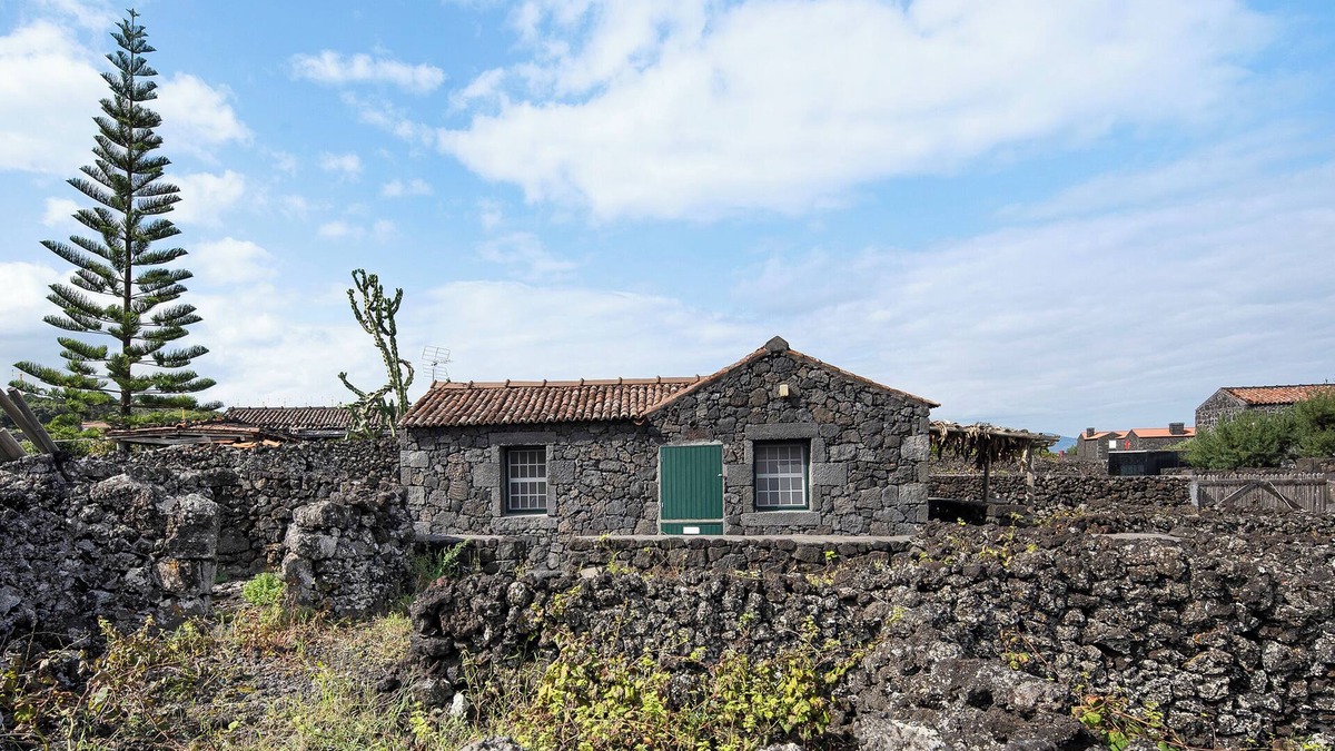 Bandeiras House | Holiday Home 'Adega Maciel' with Sea View, Private Terrace and Wi-Fi