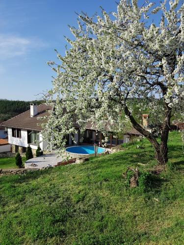 Arbanasi House | Holiday Home Arbanasi