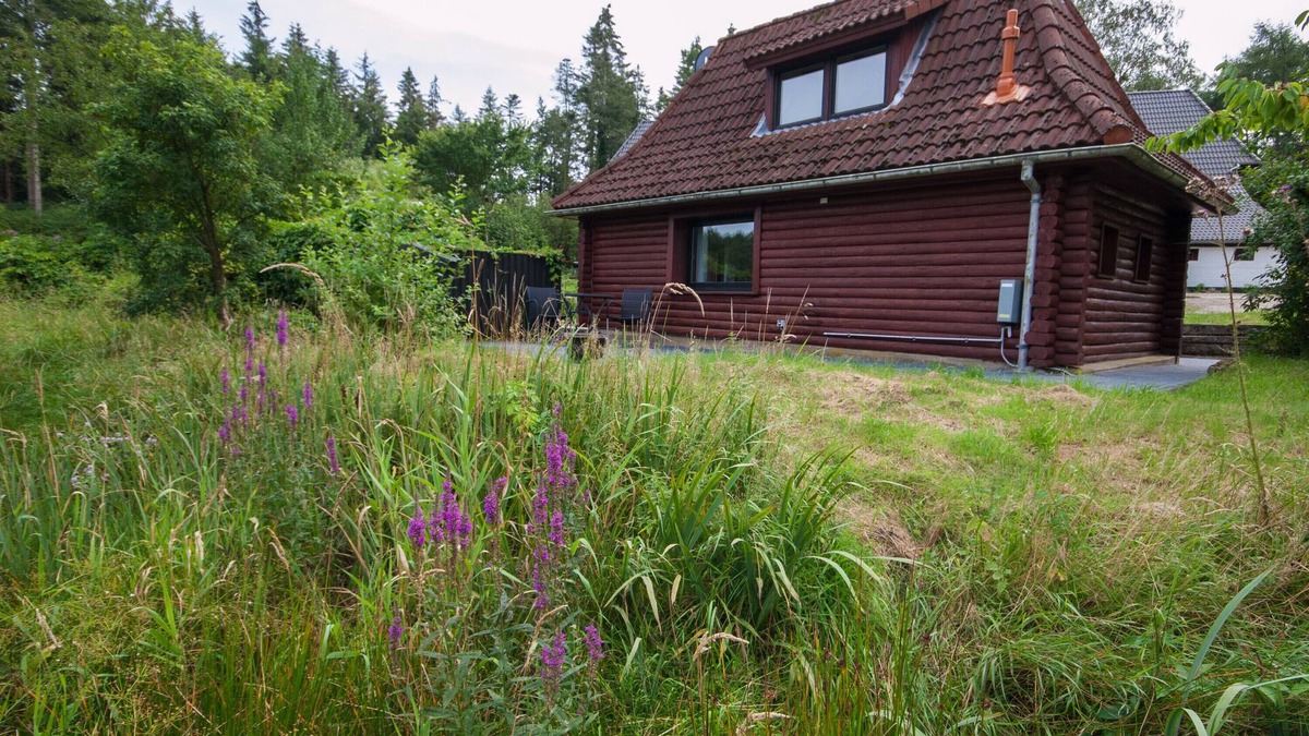 Odderade House | Holiday Home 'Blockhaus Quellental' with Lake View, Private Terrace and Wi-Fi