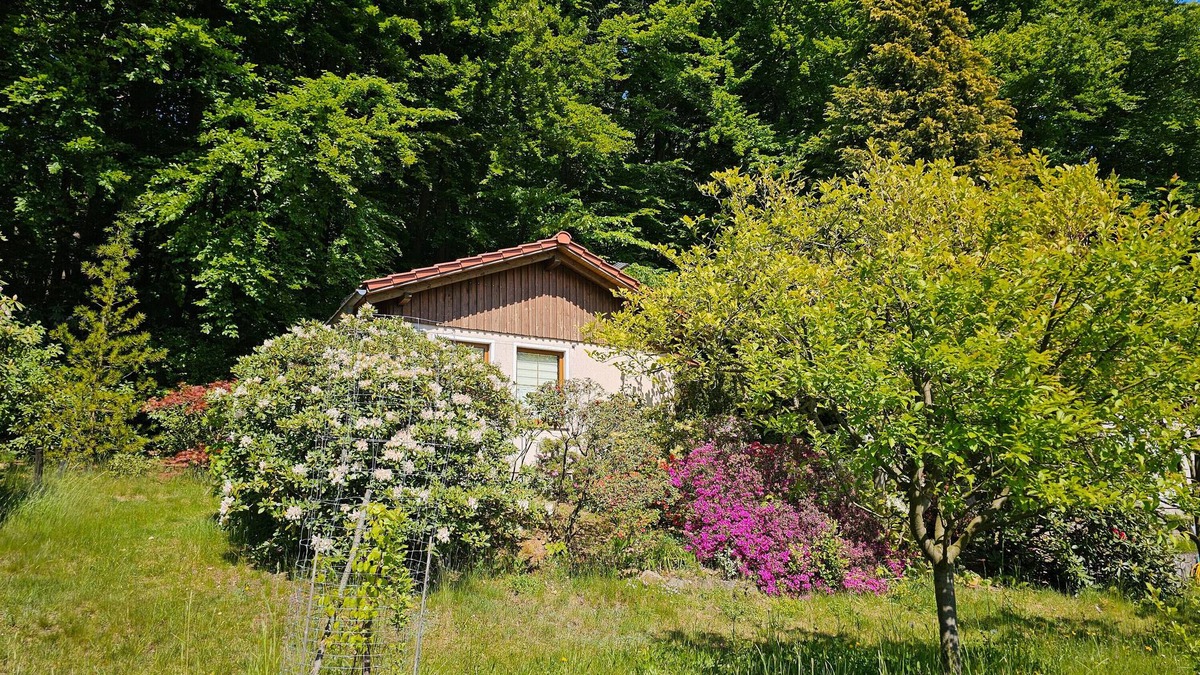 Steina House | Holiday Home by the Forest with South-Facing View