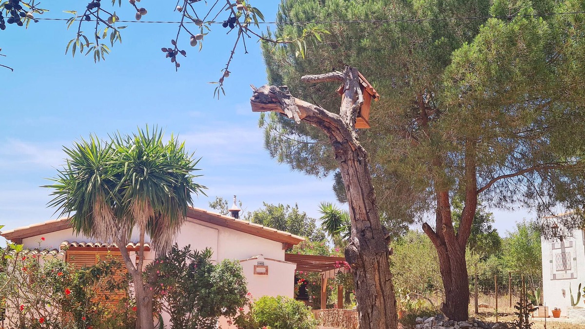 Colegio House | Holiday Home 'Casa Do Avô António' with Mountain View, Private Terrace and Wi-Fi
