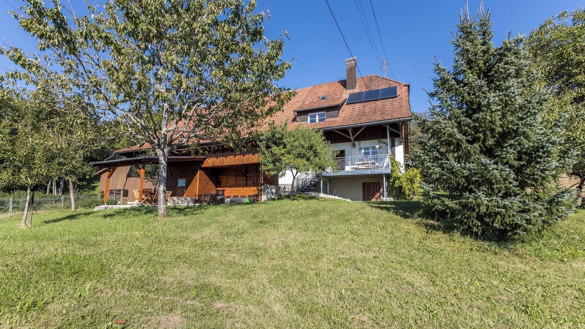 Blumberg House | Holiday Home "Der Lachenbuckhof" in the Black Forest with Playground, Garden and Terrace