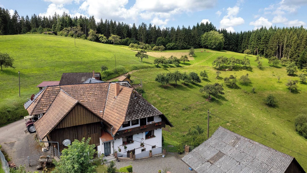 Muehlenbach House | Holiday Home 'Ferien Auf Der Fleischdielte' with Private Terrace, Private Garden and Balcony